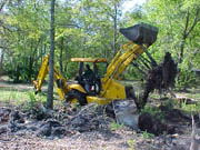 Tony Miller removing stumps