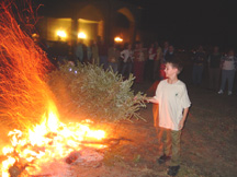 James tossing a tree on the fire