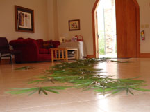 Palms on the floor of the hall